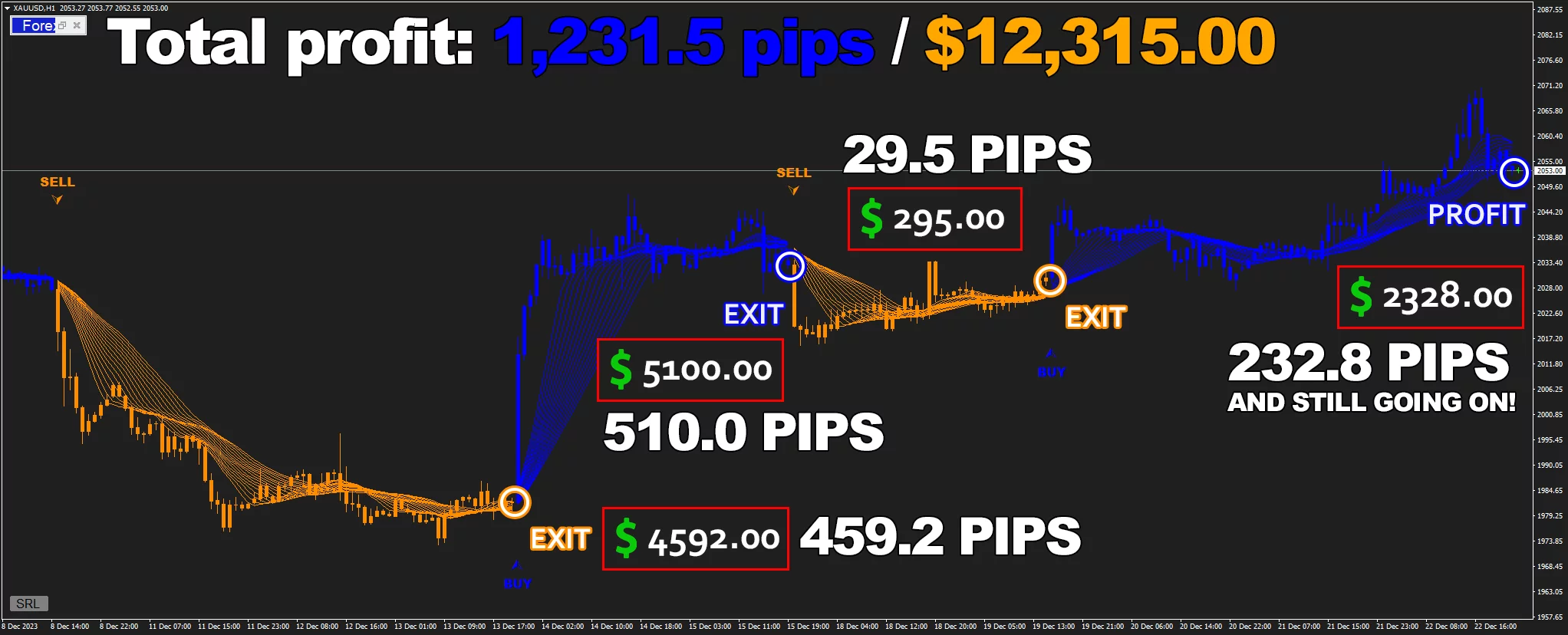 FOREX JUPITER, MANAGER MT4, EA for FTMO, EA for MFF, Prop Firm, Pass FTMO, EA for Funds, FTMO, MFF, EIGHTCAP, Best Forex EA, Top-performing Forex Robot, Profitable Expert Advisor, Optimal Forex Automation, Top Forex Algorithm, High-Performing Trading Bot, Forex EA Excellence, Superior Automated Trading System, Top-notch Forex Algorithm, Exceptional Expert Advisor