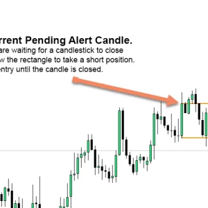 Market Reversal Alerts MT4 Unlimited