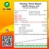 AREMA Mantra EA MT4, Precision trading algorithms, Forex Expert Advisor, Adaptability in trading, Strategic trading advantage, MetaTrader 4 compatibility, Forex market precision, Expert Advisor success, Dynamic trading tool, Proven trading strategies