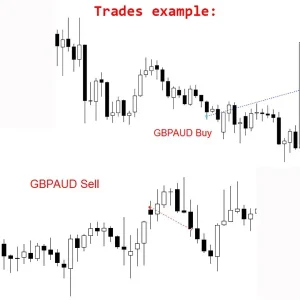 Multi Sniper mq MT4 No DLL, Multi Sniper mq MT4 Unlimited, EA for FTMO, EA for MFF, Prop Firm, Pass FTMO, EA for Funds, FTMO, MFF, EIGHTCAP, Best Forex EA, Top-performing Forex Robot, Profitable Expert Advisor, Optimal Forex Automation, Top Forex Algorithm, High-Performing Trading Bot, Forex EA Excellence, Superior Automated Trading System, Top-notch Forex Algorithm, Exceptional Expert Advisor