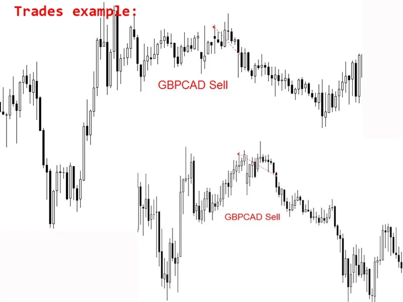 Multi Sniper mq MT4 No DLL, Multi Sniper mq MT4 Unlimited, EA for FTMO, EA for MFF, Prop Firm, Pass FTMO, EA for Funds, FTMO, MFF, EIGHTCAP, Best Forex EA, Top-performing Forex Robot, Profitable Expert Advisor, Optimal Forex Automation, Top Forex Algorithm, High-Performing Trading Bot, Forex EA Excellence, Superior Automated Trading System, Top-notch Forex Algorithm, Exceptional Expert Advisor