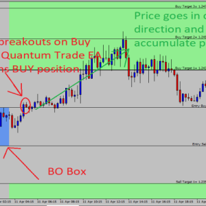 Quantum Trade EA MT4 Unlimited, No DLL, Without DLL, EA for FTMO, EA for MFF, Prop Firm, Pass FTMO, EA for Funds, FTMO, MFF, EIGHTCAP, Best Forex EA, Top-performing Forex Robot, Profitable Expert Advisor, Optimal Forex Automation, Top Forex Algorithm, High-Performing Trading Bot, Forex EA Excellence, Superior Automated Trading System, Top-notch Forex Algorithm, Exceptional Expert Advisor