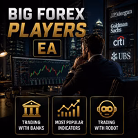 Big Forex Players MT4 Unlimited + SetFiles