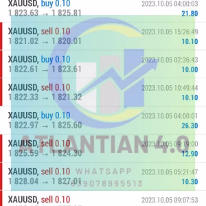 ATLANTIAN EA MT4 v4.0 + SetFiles