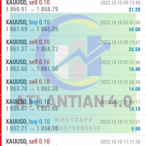 ATLANTIAN EA MT4 v4.0 + SetFiles