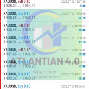 ATLANTIAN EA MT4 v4.0 + SetFilesATLANTIAN EA MT4 v4.0 + SetFiles
