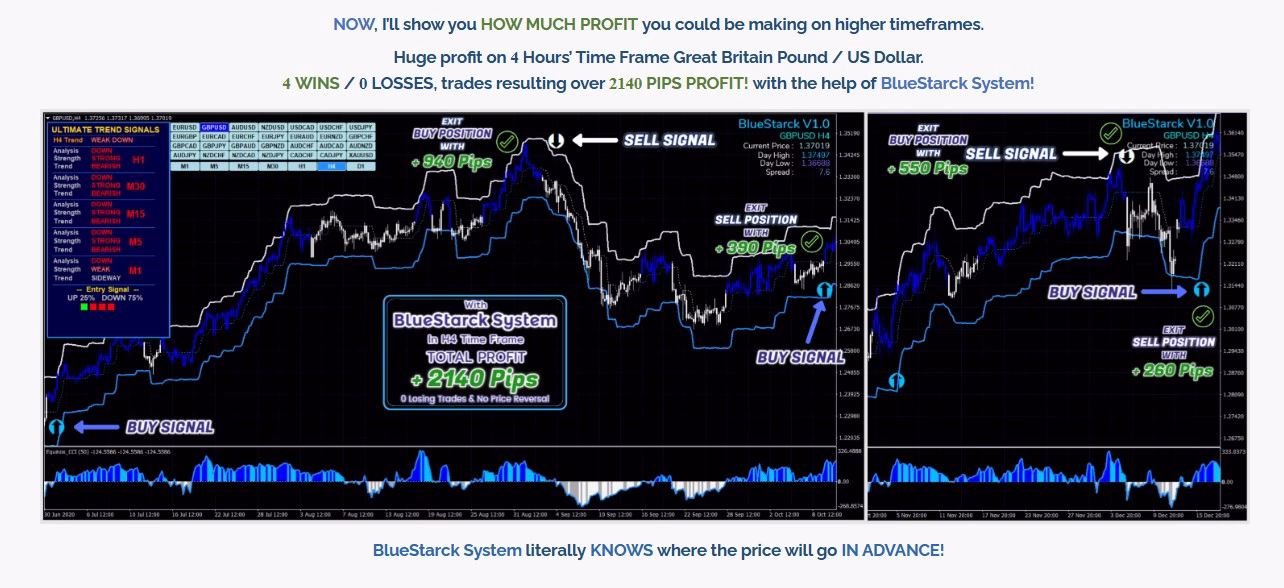 BlueStarck Trading System MT4 Unlimited