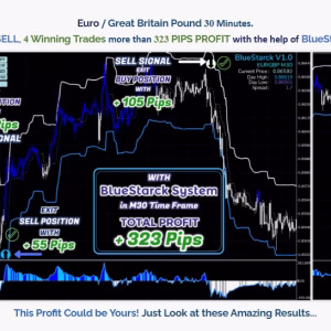 BlueStarck Trading System MT4 Unlimited