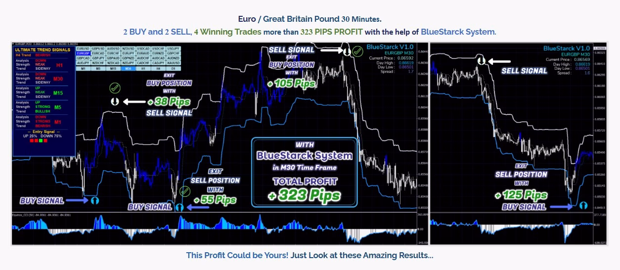 BlueStarck Trading System MT4 Unlimited