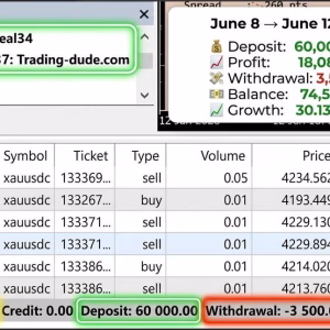 Dude Alpha Gold EA MT5 Unlimited + Set Files - Image 8