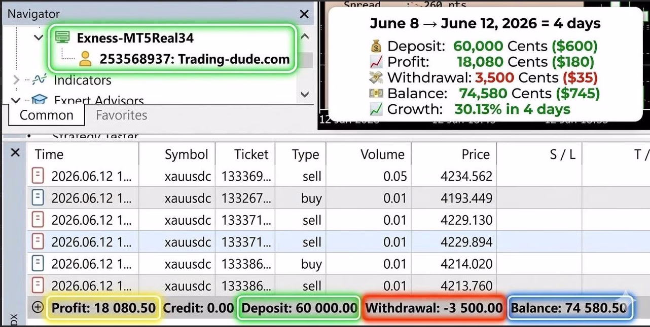 Dude Alpha Gold EA MT5 Unlimited + Set Files - Image 8