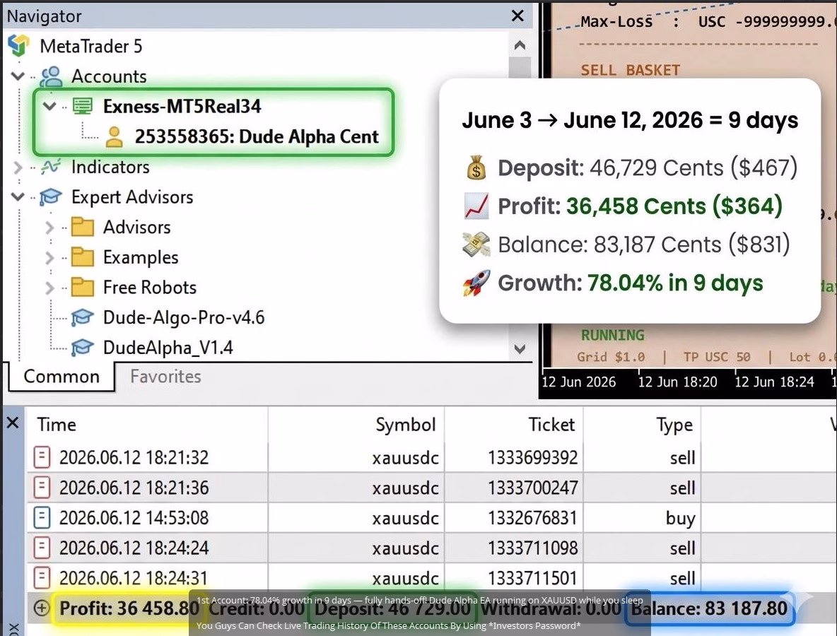 Dude Alpha Gold EA MT5 Unlimited + Set Files - Image 7